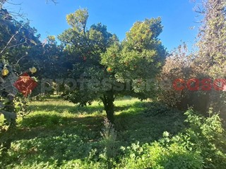 Terreno agricolo in Vendita a Castel San Giorgio, 189'000&euro;, 7000 m²
