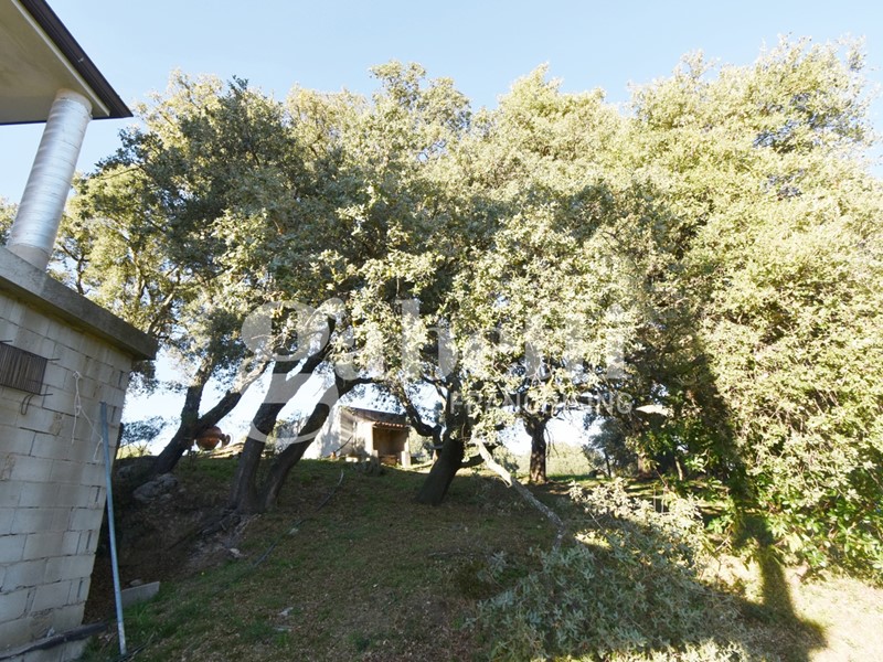 Casale in Vendita a Tempio Pausania, 250'000&euro;, 175 m², con Box