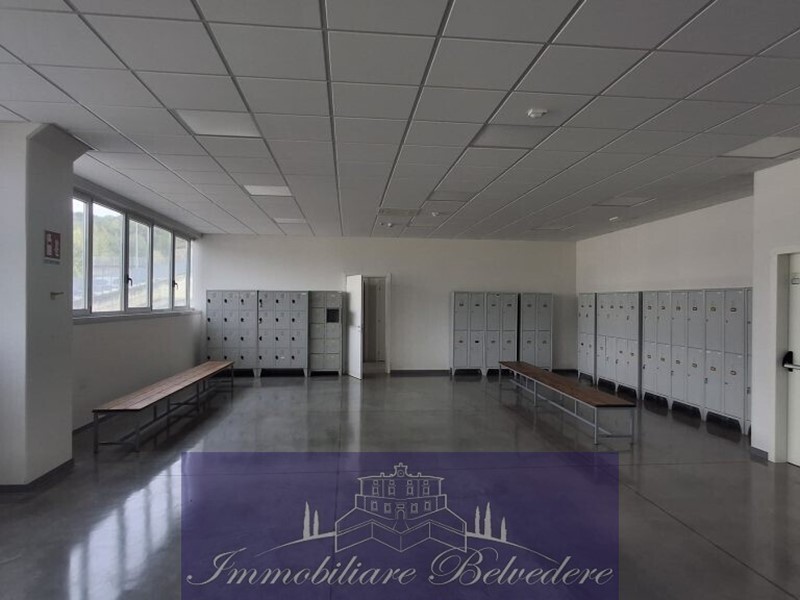 Capannone in Affitto a Reggello, 30'000&euro;, 4000 m²