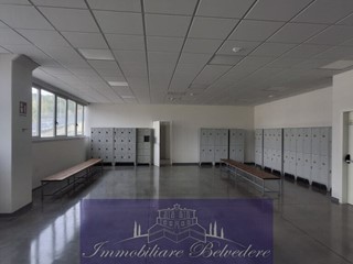 Capannone in Affitto a Reggello, 30'000&euro;, 4000 m²