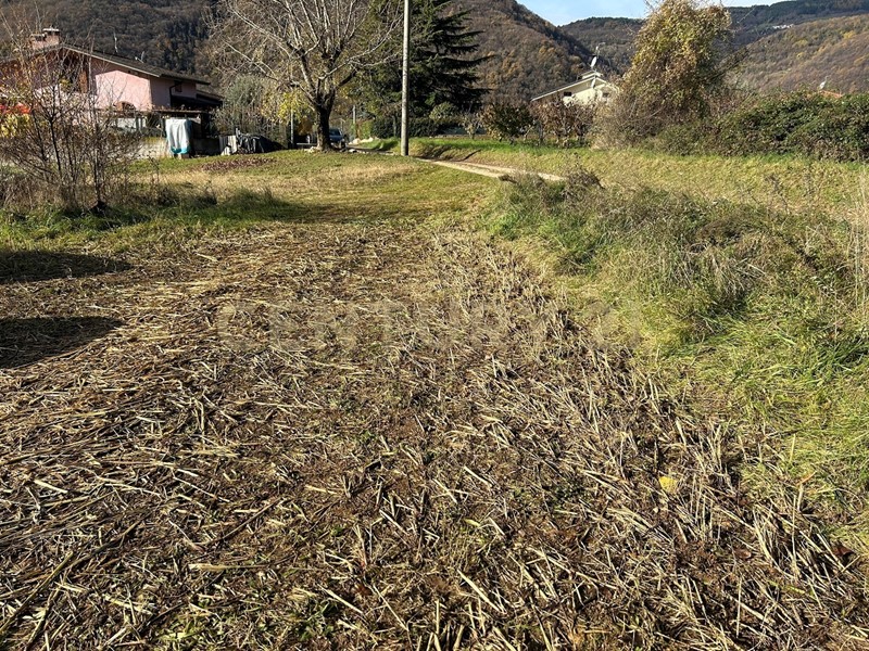 Terreno edificabile in Vendita a Tregnago, 137'894&euro;, 669 m²