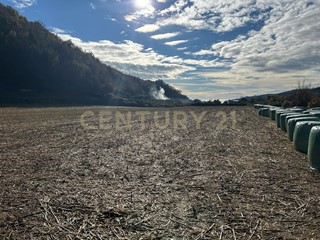 Terreno edificabile in Vendita a Tregnago, 128'394&euro;, 623 m²