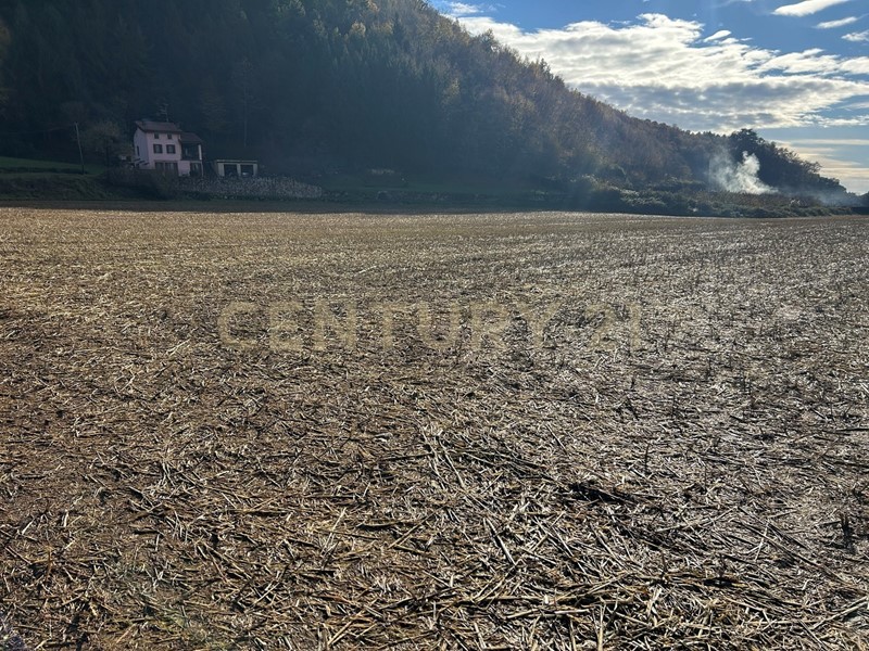 Terreno edificabile in Vendita a Tregnago, 113'945&euro;, 553 m²