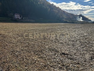 Terreno edificabile in Vendita a Tregnago, 113'945&euro;, 553 m²