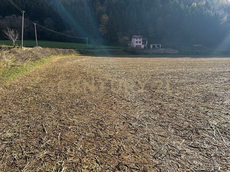 Terreno edificabile in Vendita a Tregnago, 189'314&euro;, 919 m²