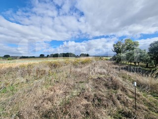 Terreno agricolo in Vendita a Sestu, 13'000&euro;, 4125 m²