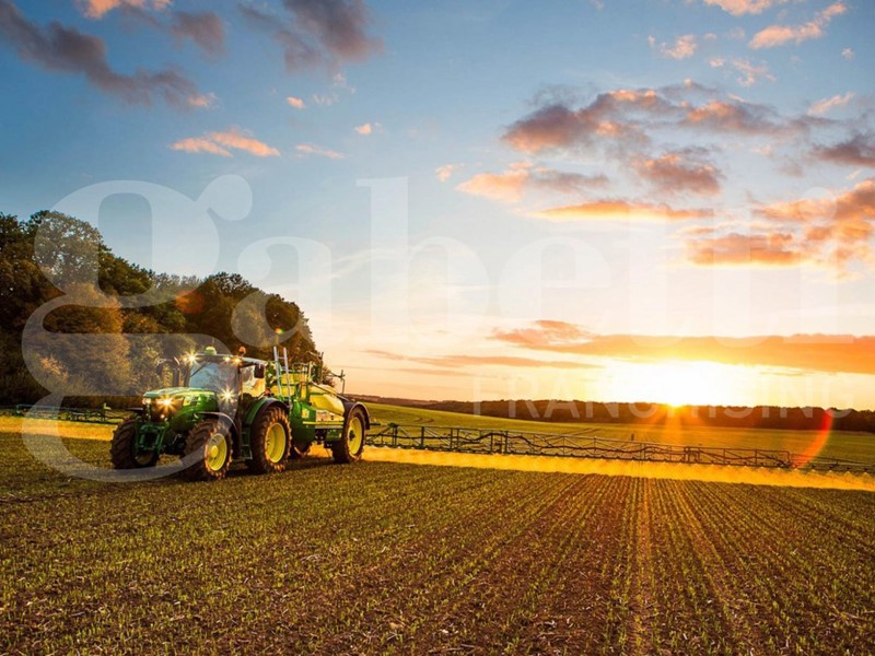 Terreno agricolo in Vendita a Pontelongo, 25'000&euro;, 43416 m²