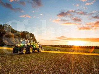 Terreno agricolo in Vendita a Pontelongo, 25'000&euro;, 43416 m²