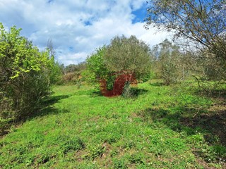 Terreno edificabile in Vendita a Sant'Angelo a Cupolo, 25'000&euro;, 4468 m²