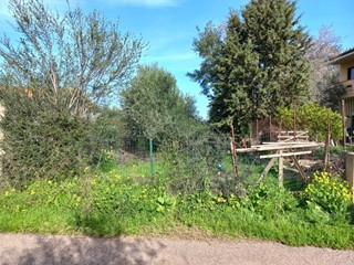 Terreno edificabile in Vendita a Nuxis, 40'000&euro;, 2395 m²