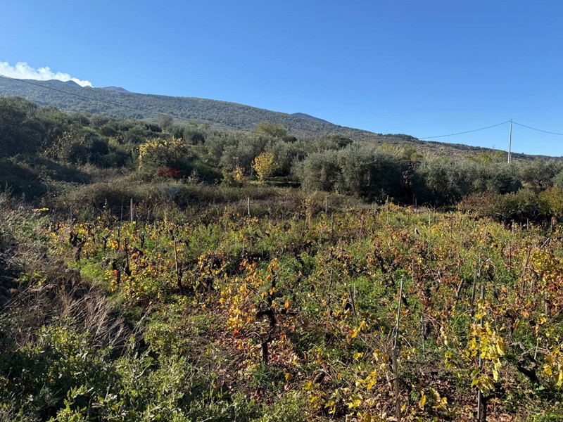 Terreno agricolo in Vendita a Castiglione di Sicilia, 50'000&euro;, 4222 m²