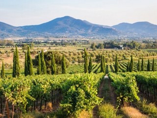 Quadrilocale in Vendita a Gavorrano, 99'000&euro;, 96 m²