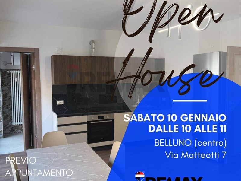 Trilocale in Affitto a Belluno, 900&euro;, 50 m²