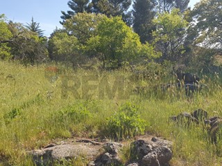Terreno agricolo in Vendita a Biancavilla, 20'500&euro;, 3320 m²