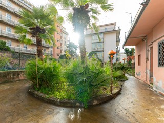 Appartamento in Vendita a Catania, 179'000&euro;, 239 m²