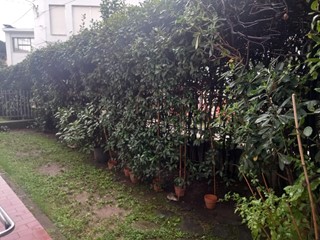 Quadrilocale in Vendita a Massa, 290'000&euro;, 83 m², con Box