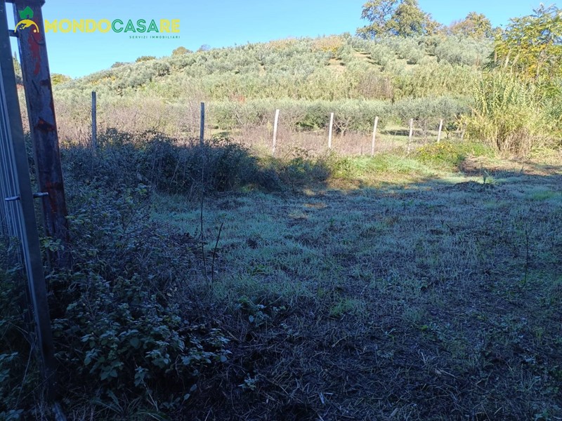 Terreno agricolo in Vendita a Palombara Sabina, 10'000&euro;, 3000 m²