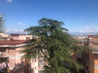 Trilocale in Affitto a Napoli, 575&euro;, 60 m²