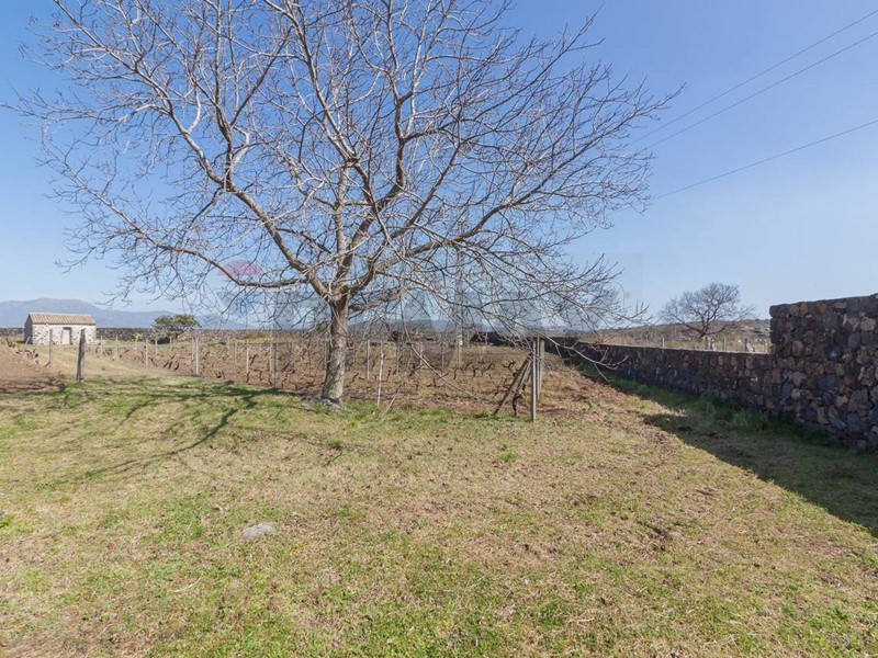 Terreno agricolo in Vendita a Castiglione di Sicilia, 75'000&euro;, 4700 m²