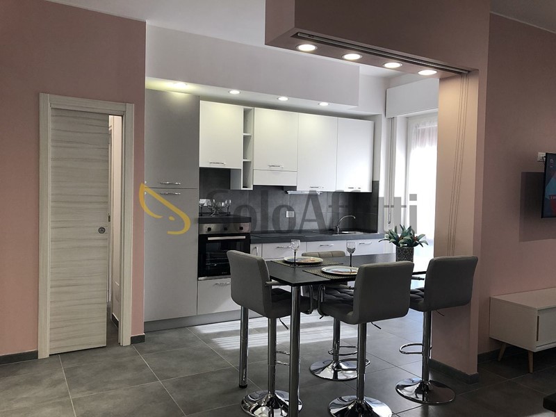 Monolocale in Affitto a Pavia, zona Viale Campari, 680&euro;, 52 m², arredato