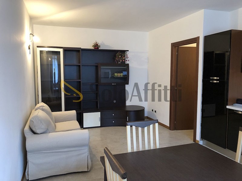 Trilocale in Affitto a Pavia, zona CittÃ  Giardino, 700&euro;, 58 m², arredato, con Box
