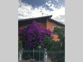 Villa in Vendita a Massa, 530'000&euro;, 230 m², arredato, con Box