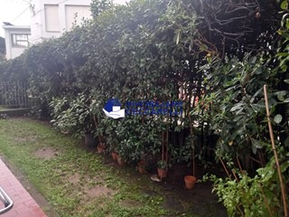 Quadrilocale in Vendita a Massa, 290'000&euro;, 83 m², con Box