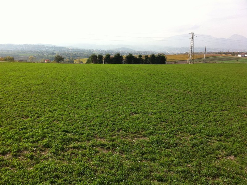 Terreno agricolo in Vendita a Benevento, 39'000&euro;, 10000 m²