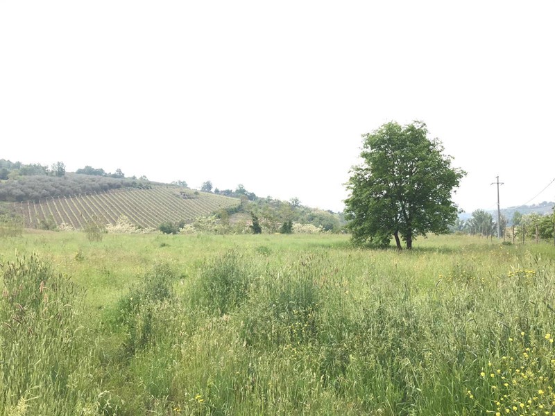 Terreno agricolo in Vendita a Benevento, 60'000&euro;, 16000 m²