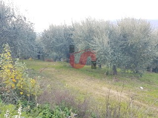 Terreno agricolo in Vendita a Benevento, 22'000&euro;, 16500 m²