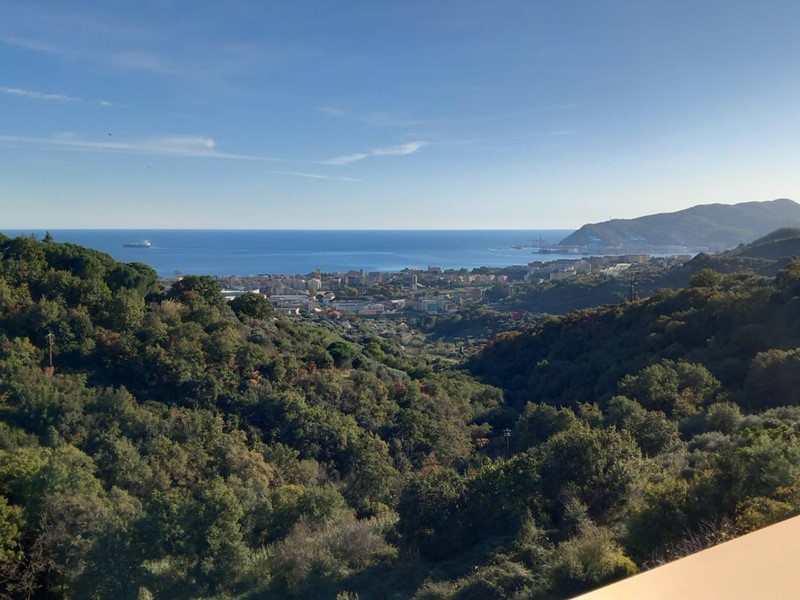 Bilocale in Affitto a Savona, 600&euro;, 50 m²