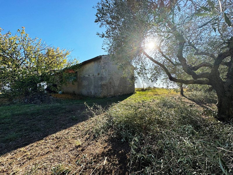 Rustico in Vendita a Roma, 169'000&euro;, 6340 m²