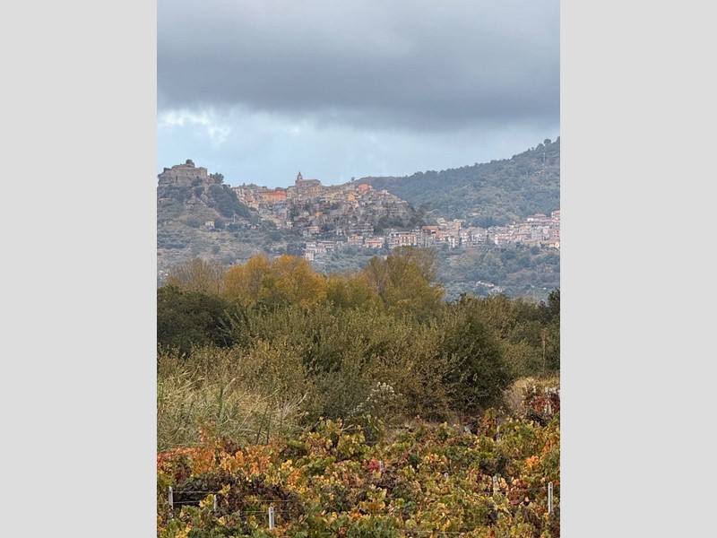 Terreno agricolo in Vendita a Castiglione di Sicilia, 65'000&euro;, 13487 m²