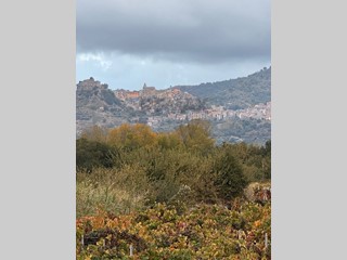 Terreno agricolo in Vendita a Castiglione di Sicilia, 65'000&euro;, 13487 m²