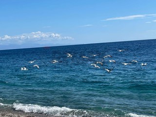 Quadrilocale in Vendita a Mascali, 110'000&euro;, 110 m²