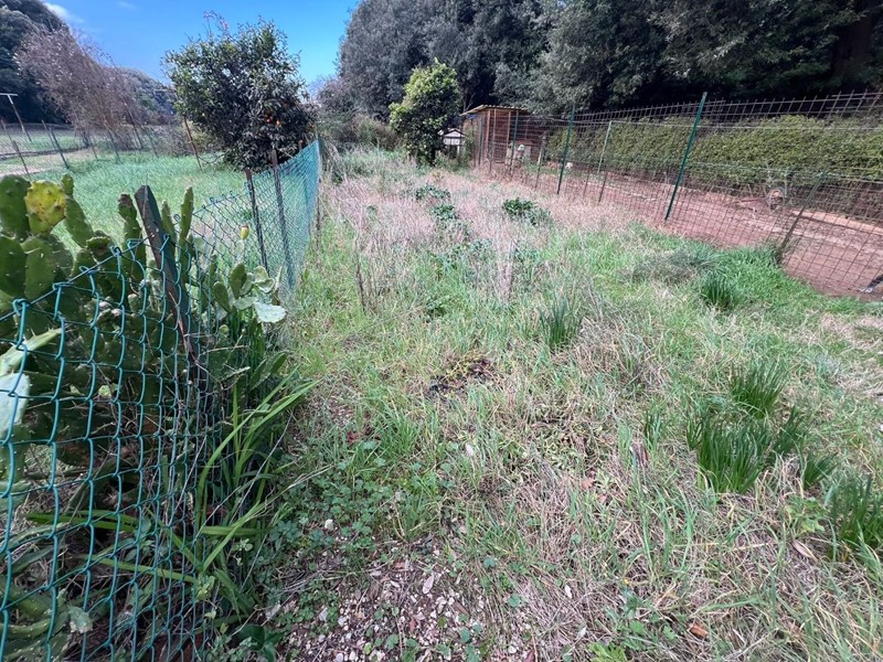 Quadrilocale in Vendita a Bibbona, 154'000&euro;, 105 m², con Box