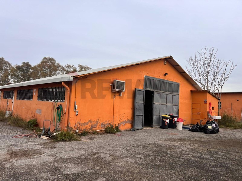 Capannone in Affitto a Roma, 2'000&euro;, 600 m²