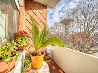 Quadrilocale in Vendita a Torino, 279'000&euro;, 120 m²