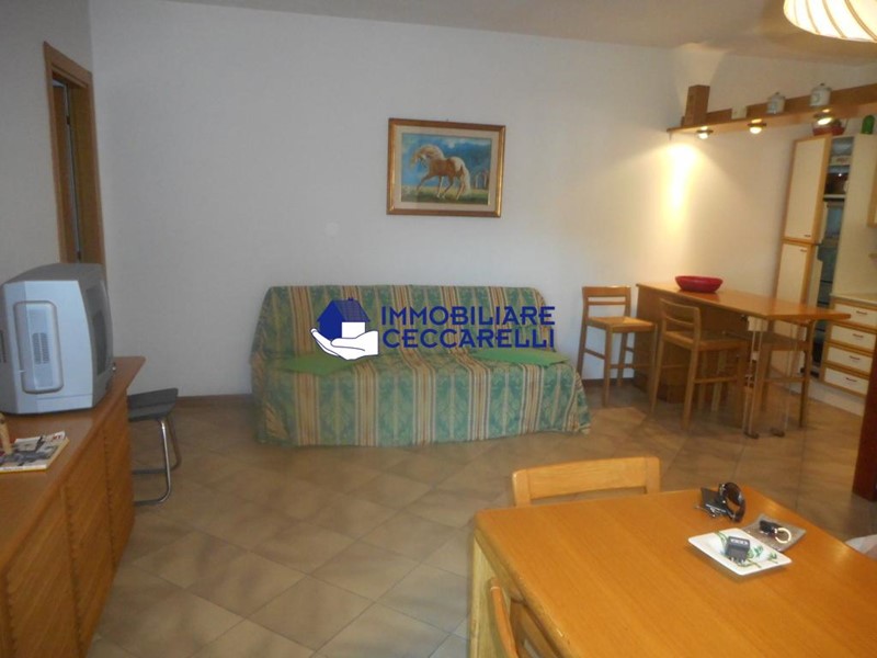 Trilocale in Affitto a Massa, zona Ronchi, 2'400&euro;, 60 m², arredato