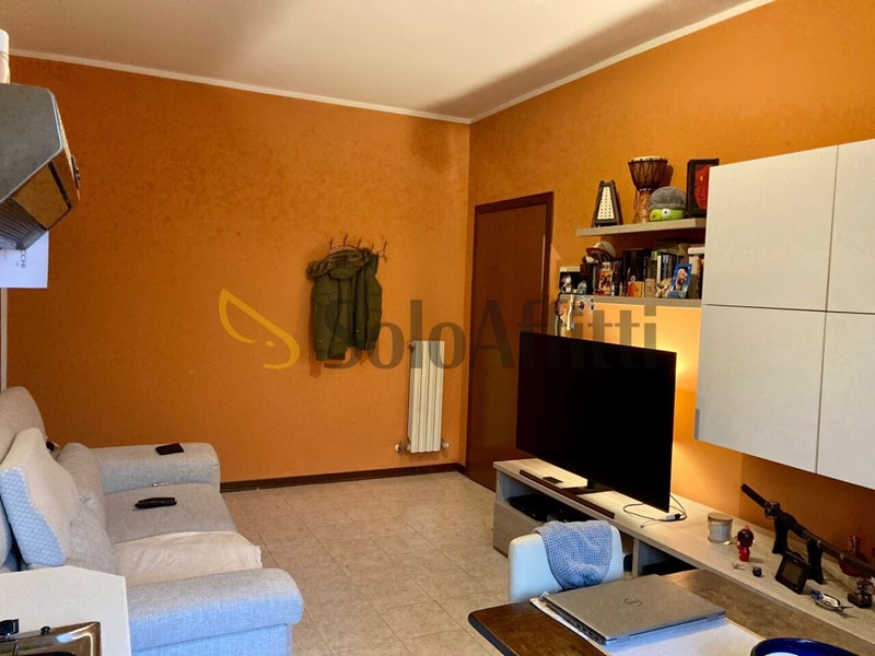 Trilocale in Affitto a Castelvetro di Modena, 700&euro;, 65 m², arredato