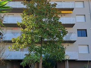 Appartamento in Vendita a Montesilvano, 250'000&euro;, 130 m²