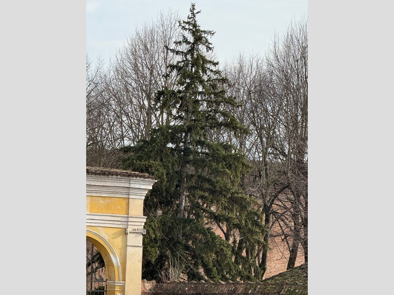 Bilocale in Vendita a Mantova, 200'000&euro;, 105 m²