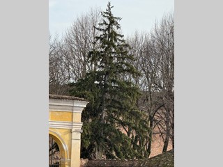 Bilocale in Vendita a Mantova, 200'000&euro;, 105 m²