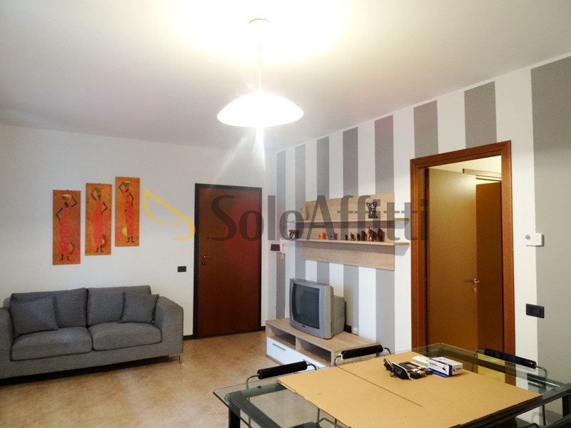 Trilocale in Affitto a Gallarate, zona SciarÃ¨, 800&euro;, 100 m², arredato, con Box