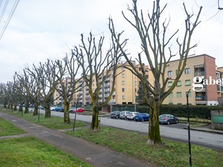 Trilocale in Vendita a Muggiò, 198'000&euro;, 93 m²