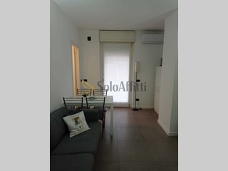 Trilocale in Affitto a Gallarate, zona Centro, 1'150&euro;, 75 m², arredato, con Box