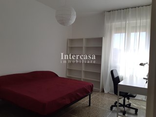 Appartamento in Affitto a Pisa, 340&euro;, 15 m², arredato