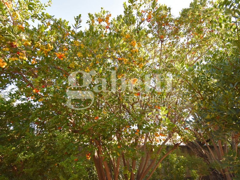 Bilocale in Vendita a Olbia, 14'000&euro;, 48 m², arredato