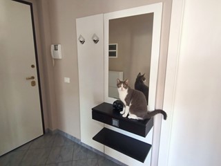 Appartamento in Vendita a Sanremo, 365'000&euro;, 149 m², con Box