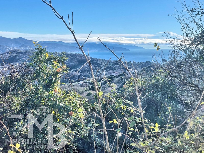 Appartamento in Vendita a Camogli, zona Bana, 